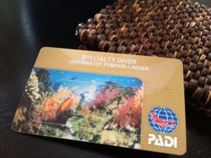 photo (4).JPG photo (4).JPG