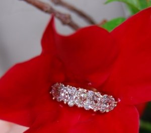 Flower shot.jpg