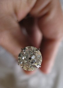IMG_6481.JPG IMG_6481.JPG