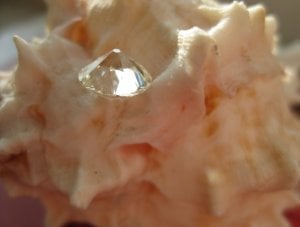 IMG_6574.JPG