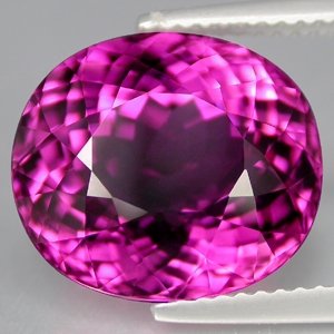 pur-pinktour.jpg