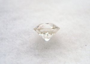 OEC 008.JPG