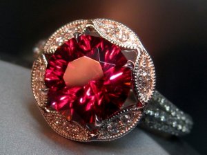 ALJ-IMG_7236.jpg