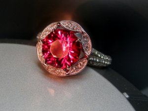 ALJ-IMG_7239.jpg
