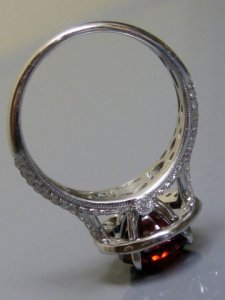 ALJ-IMG_7202.jpg