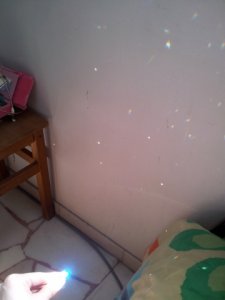 2011-11-27 14.58.48.jpg
