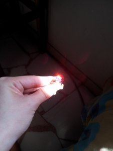 2011-11-27 14.59.18.jpg