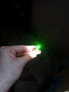 2011-11-27 14.59.23.jpg