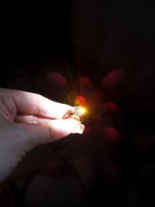 2011-11-27 15.00.30.jpg