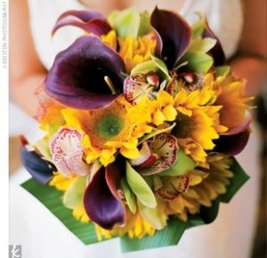 sunflower_theknot.jpg