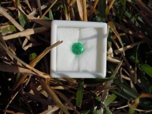 Emerald March '11 010 (Large).JPG