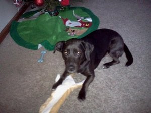 dec2011 026.jpg