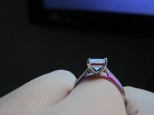 IMG_0970.JPG