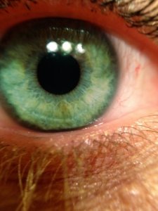 AmeEyeMACRO.jpg