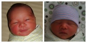 newborns.jpg