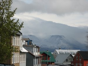 IMG_1137.JPG