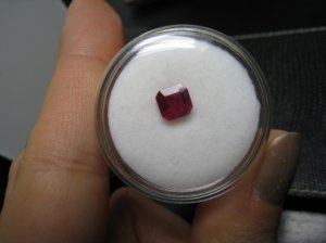 224.JPG