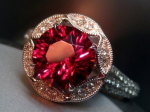 ALJ-IMG_7236.jpg