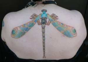 3 LGK's amazing Lalique dragonfly.jpg