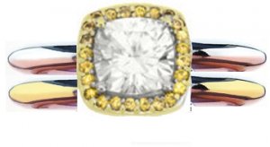 schubach_ring_05_shanksYG.jpg