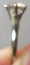 100_4761.JPG