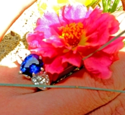 digital pics 541.jpg