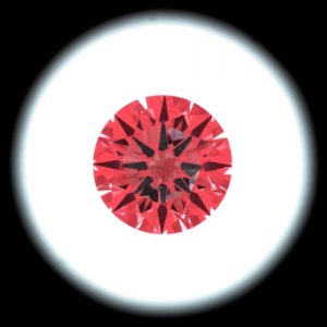 IS_AGS8230903.JPG