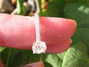 tn_IMG_1671.JPG