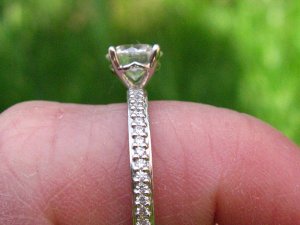 tn_IMG_1675.JPG