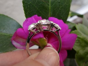 Ring 2.jpg Ring 2.jpg