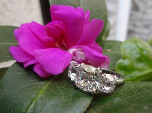 Ring 1.jpg Ring 1.jpg