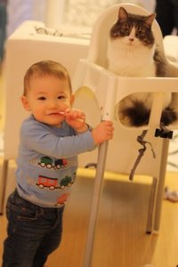 IMG_2490.jpg