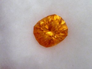 IMG_7545.JPG