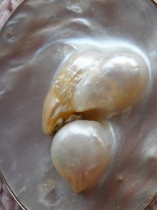 PearlPendant_2.jpg PearlPendant_2.jpg