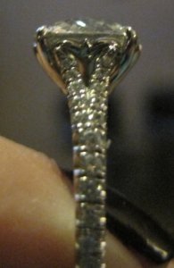 IMG_2501.JPG IMG_2501.JPG