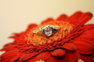 IMG_0582.JPG