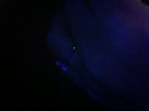 IMG_0088.JPG