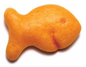 goldfish_cracker_picture.jpg