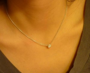 P1000564ok-crop.JPG