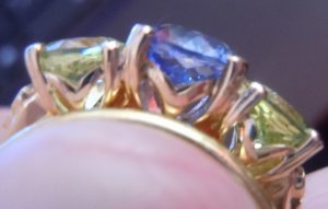 TLsapphirechryso6.jpg