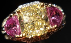 Radiant Pinks r2934f.jpg