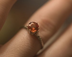 Ring_1.jpg Ring_1.jpg