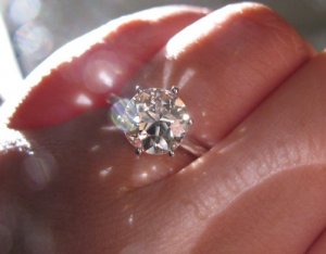 shiny 022.JPG