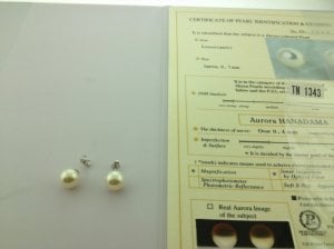 photo 2.JPG