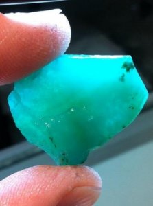 403739_3186157458629_1406567253_3198136_2018829976_n[1].jpg