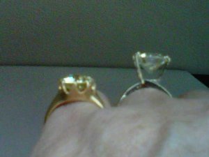 IMG00178-20120202-1418.jpg
