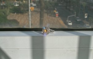 IMG_6554.jpg