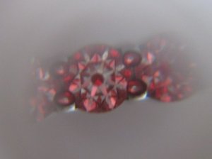 magnified 017.JPG magnified 017.JPG