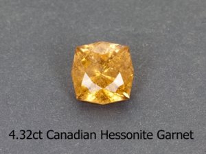 Lg-GarnetHessoniteSqCu4_32ct.jpg