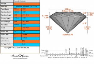 4964_Pre recut Sarin3261.jpg
